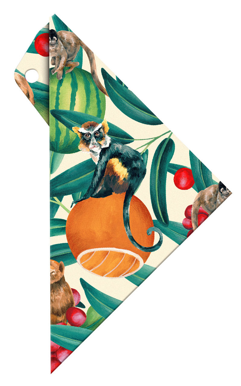 ARISTO-Geocover-Schutzh-lle-Geodreieck-2