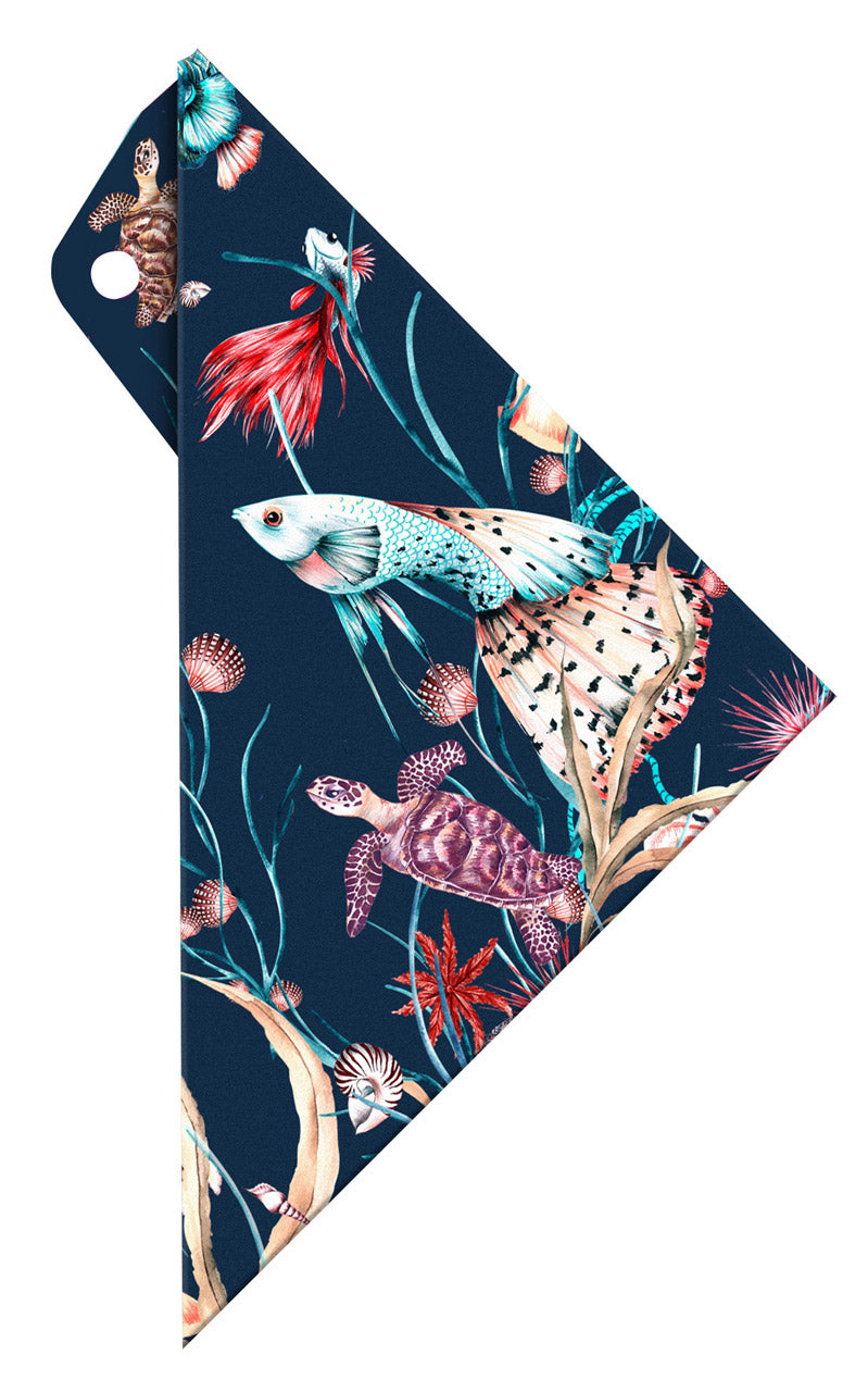 ARISTO-Geocover-Schutzhuelle-16cm-Geodreieck-AR18002B-lafueliki