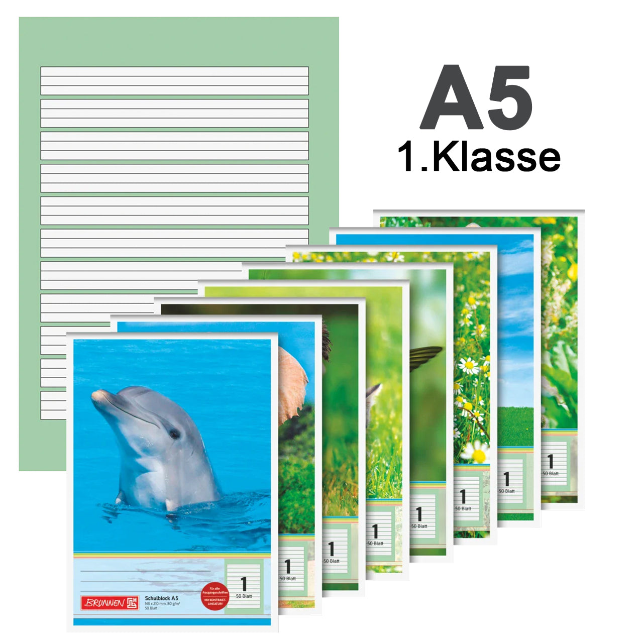 BRUNNEN Schulblock A5 · Kontrast-Lineatur 1 · farbig hinterlegt · 1. Klasse
