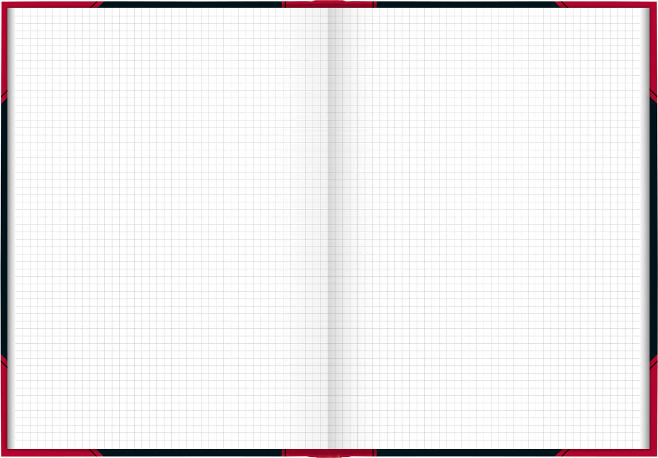 Brunnen-Chinabuch-Kladde-Notizbuch-A4-kariert-lineatur-865523301-kaufen-lafueliki