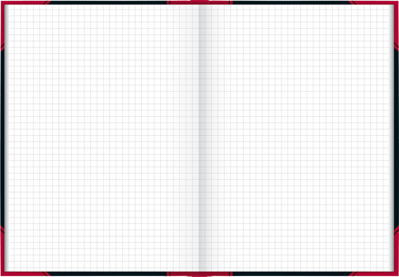 Brunnen-Chinabuch-Kladde-Notizbuch-A5-kariert-lineatur-865524301-kaufen-lafueliki