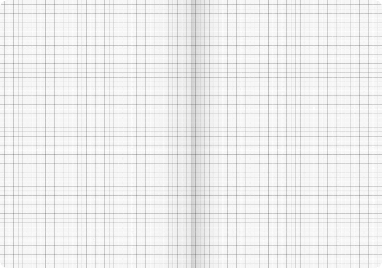 Brunnen-Kladde-FACT-plus-kariert-A4-lineatur-104347295-lafueliki