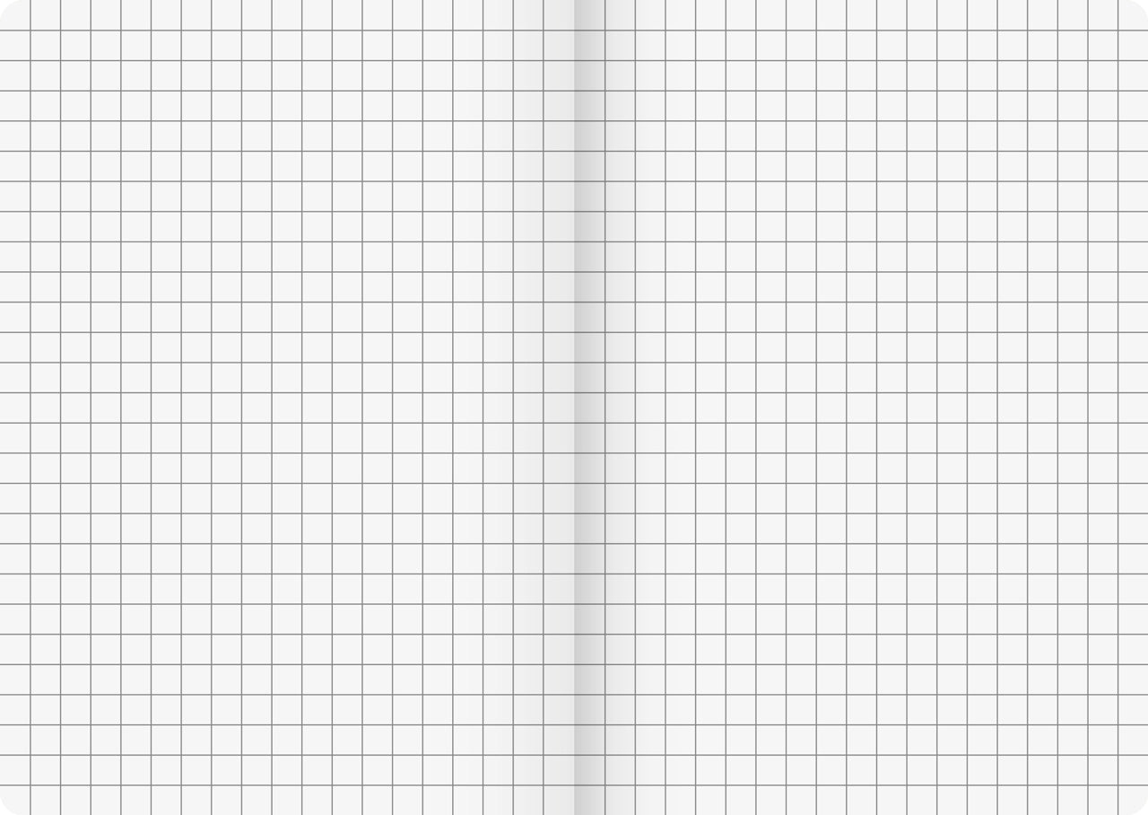 Brunnen-Kladde-FACT-plus-kariert-A5-lineatur-104357295-lafueliki