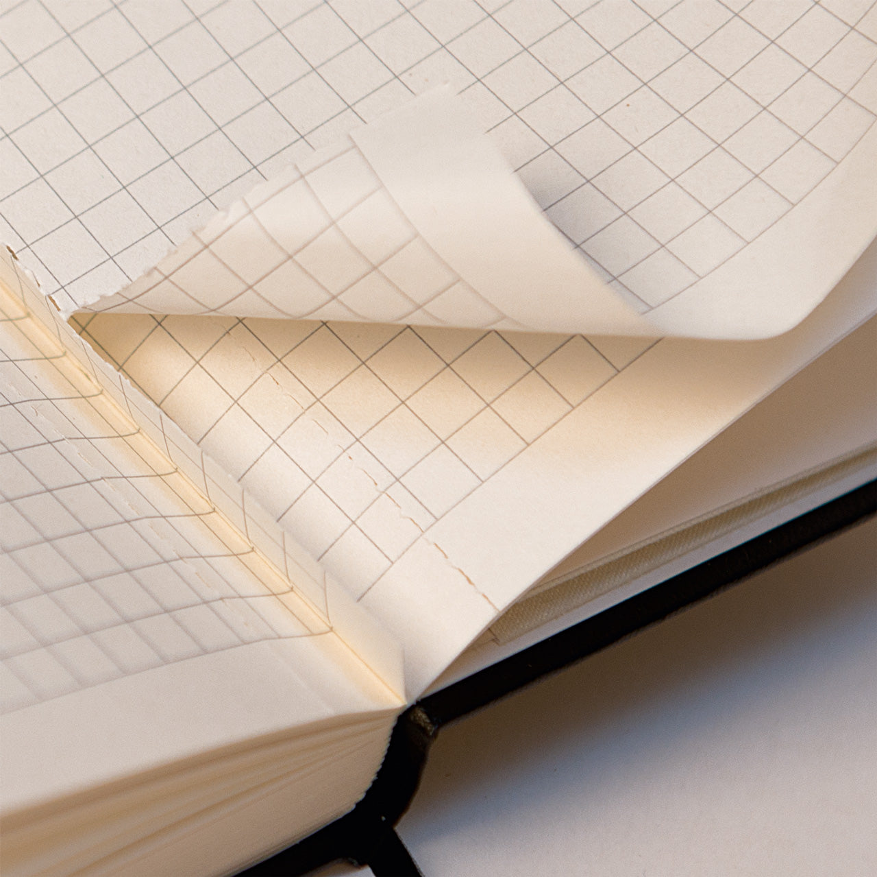 Brunnen-Notizbuch-A5-Kompagnon-Metallic-dotted-ansicht-seiten-lafueliki