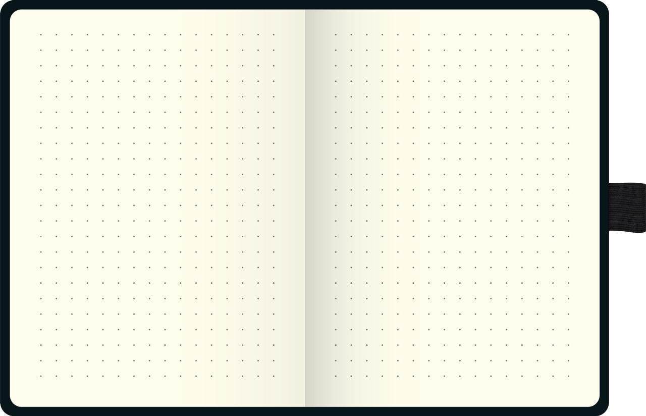 Brunnen-Notizbuch-A6-Kompagnon-Metallic-dotted-ansicht-innen-lafueliki