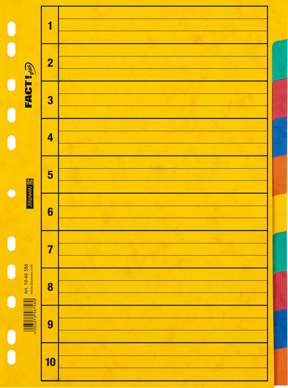 Brunnen-Ringbuchregister-A4-10tlg-5-Farben-1066586