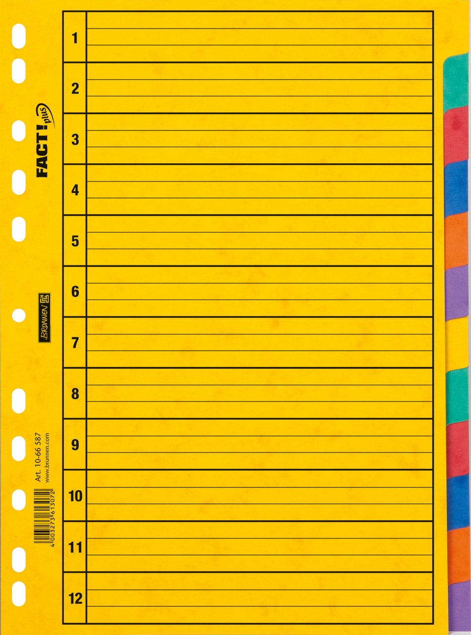 Brunnen-Ringbuchregister-A4-12tlg-6-Farben-1066587