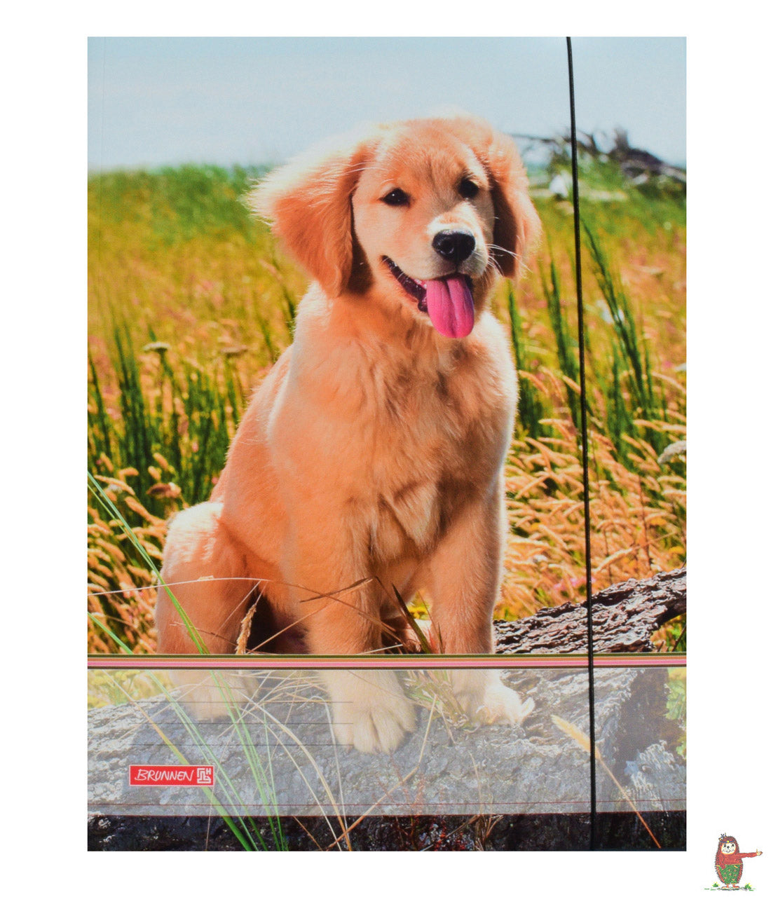 Brunnen-Sammelmappe-A3-motiv-hund-welpe-lafueliki