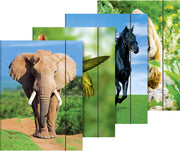 Brunnen-Sammelmappe-A4-Tiermotiv-1047084