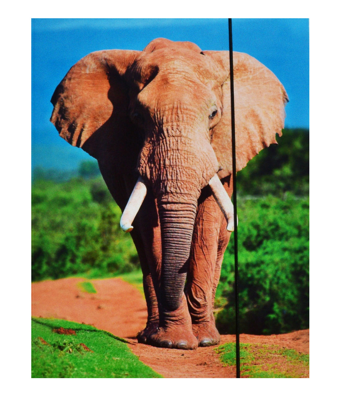 Brunnen-Sammelmappe-A4-motiv-elefant-lafueliki