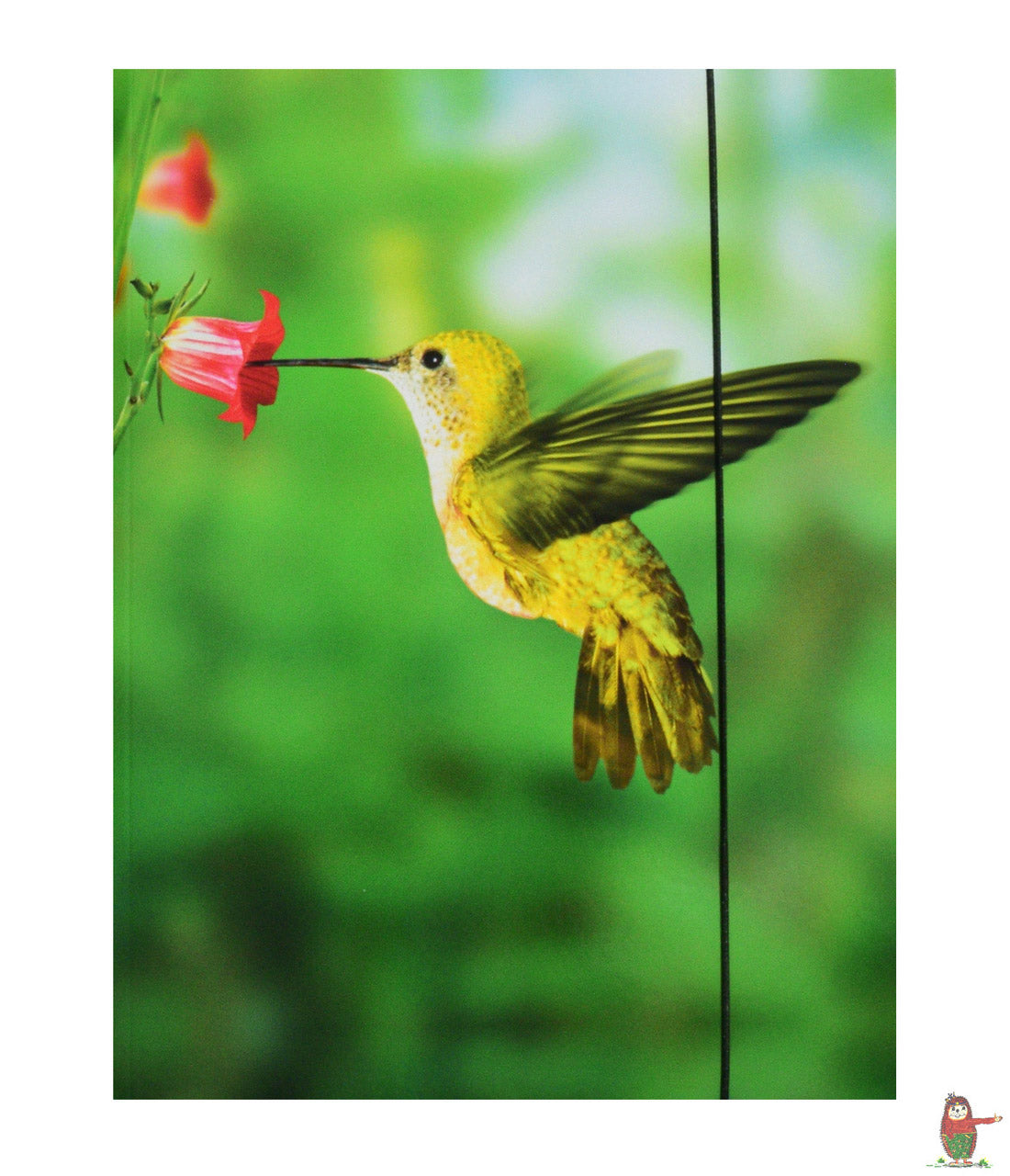 Brunnen-Sammelmappe-A4-motiv-kolibri-lafueliki