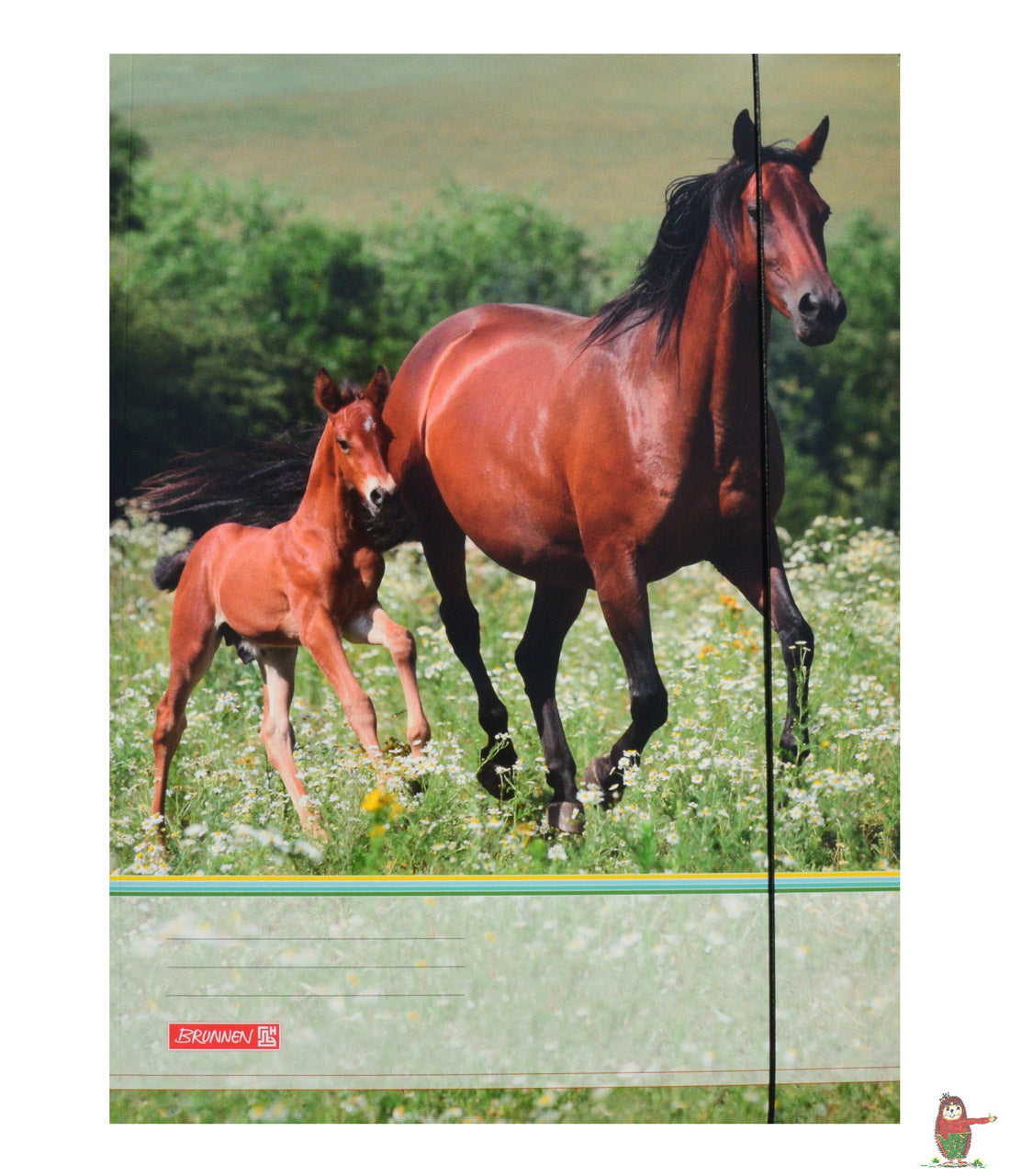 Brunnen-Sammelmappe-A4-motiv-pferd-lafueliki