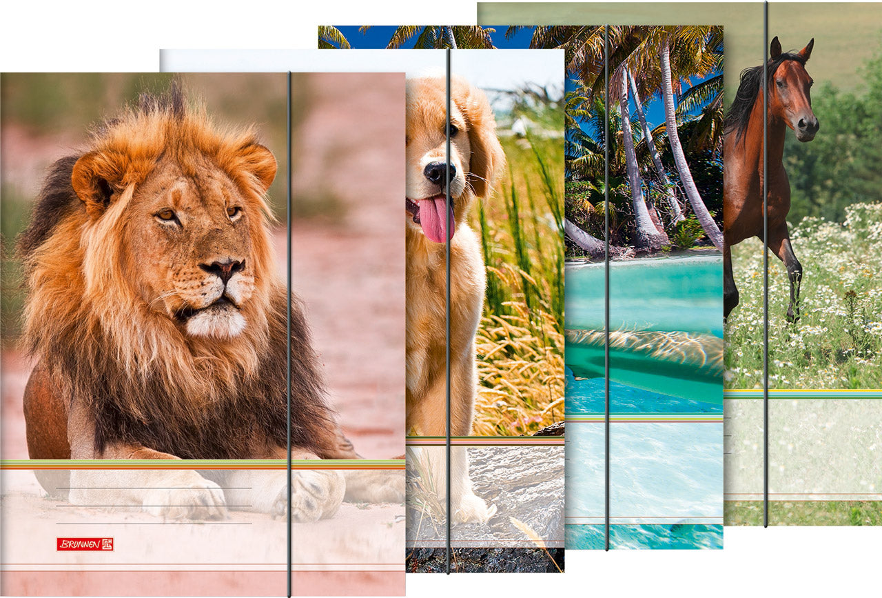 Brunnen-Sammelmappe-Din-A4-1047084-lafueliki