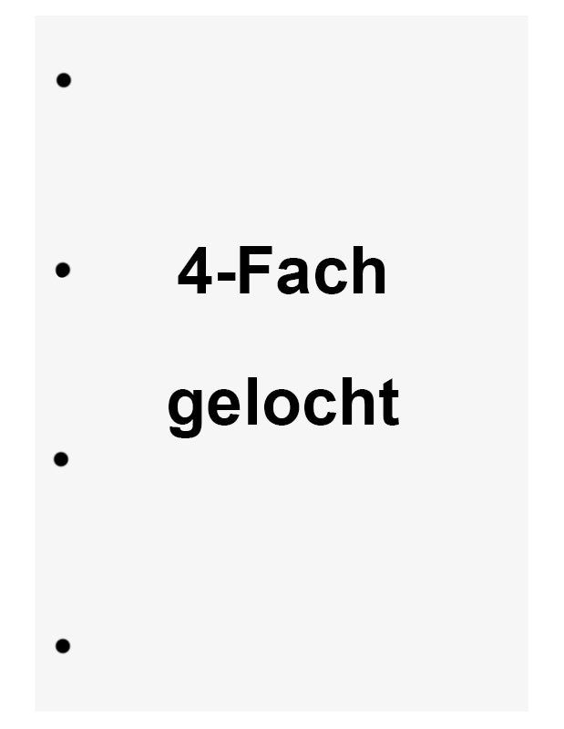 Brunnen-Schulblock-A4-Blanko-gelocht-4-fach-1052631-lafueliki
