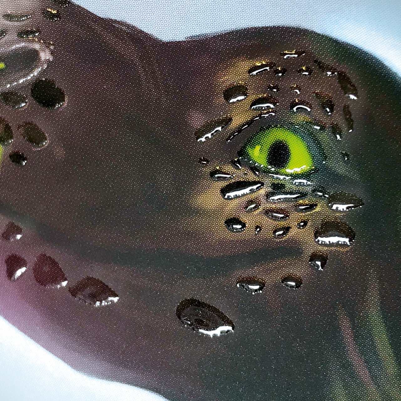 Brunnen-Schultuete-Drache-Drago-35-cm-Geschwistertuete-veredelung-1048035941-lafueliki