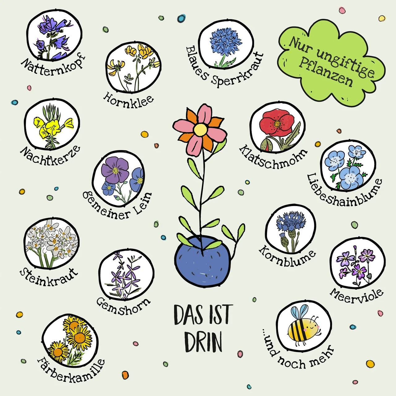 Die-Stadtgaertner-Blumenmurmeln-6-Saatkugeln-im-Eierkarton-blumen-inhalt-lafueliki