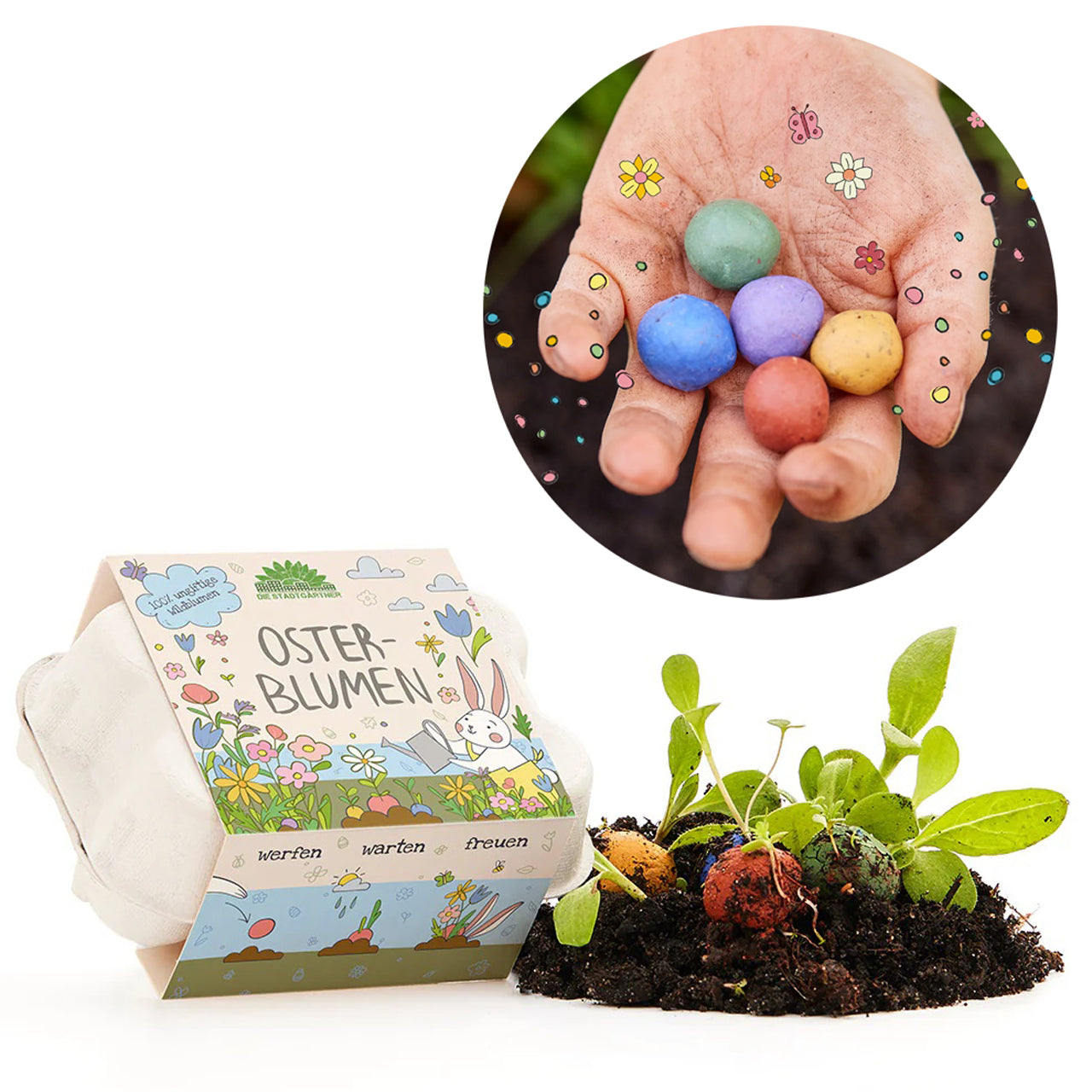 Die-Stadtgaertner-Blumenmurmeln-6-Saatkugeln-im-Eierkarton-lafueliki
