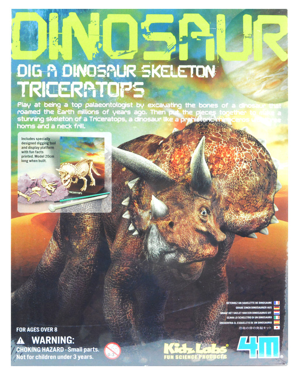 Dino-Ausgrabungsset-gross-dreihorn-Triceratops