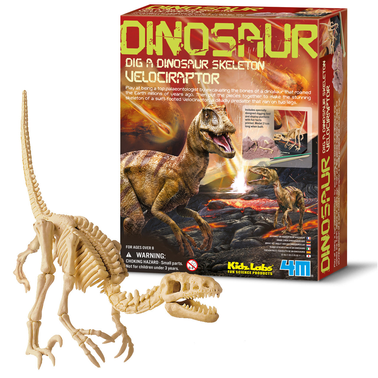 Dinosaurier-Skelett-Ausgrabung-Set-Kinder-ausgraben-gross-Raptor-68661-lafueliki