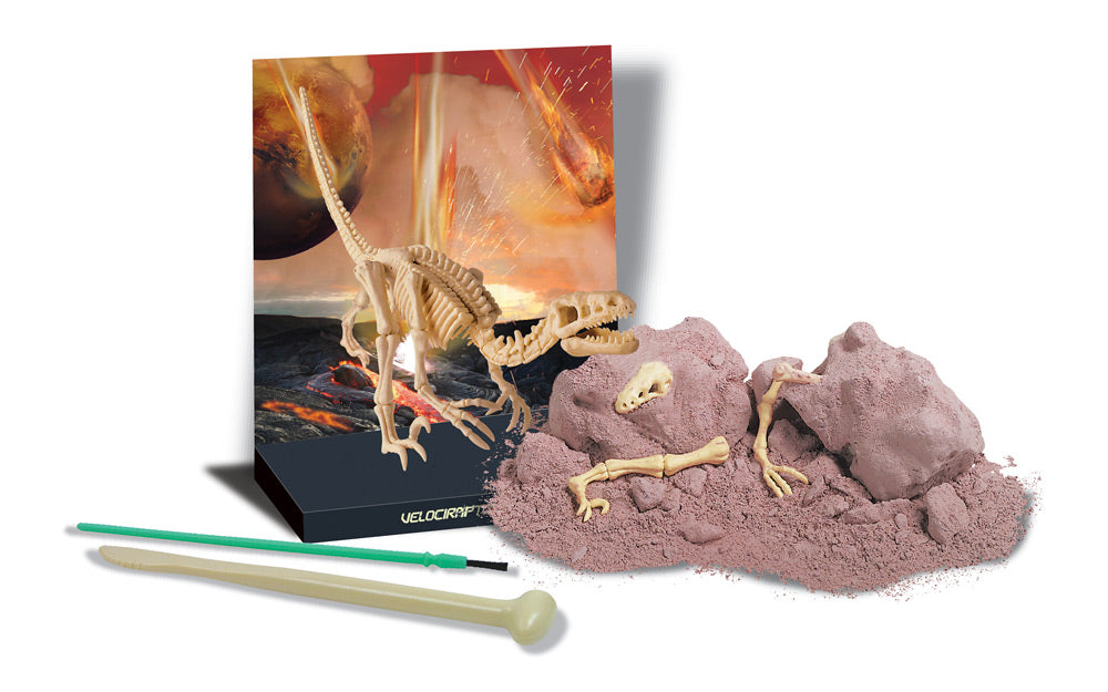 Dinosaurier-Skelett-Ausgrabung-Set-Kinder-ausgraben-gross-Raptor-bild-68661-lafueliki