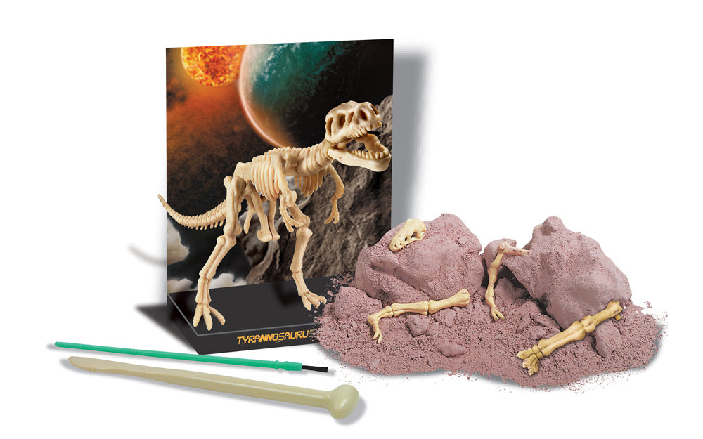 Dinosaurier-Skelett-Ausgrabung-Set-Kinder-ausgraben-gross-T-Rex-bild-68412-lafueliki