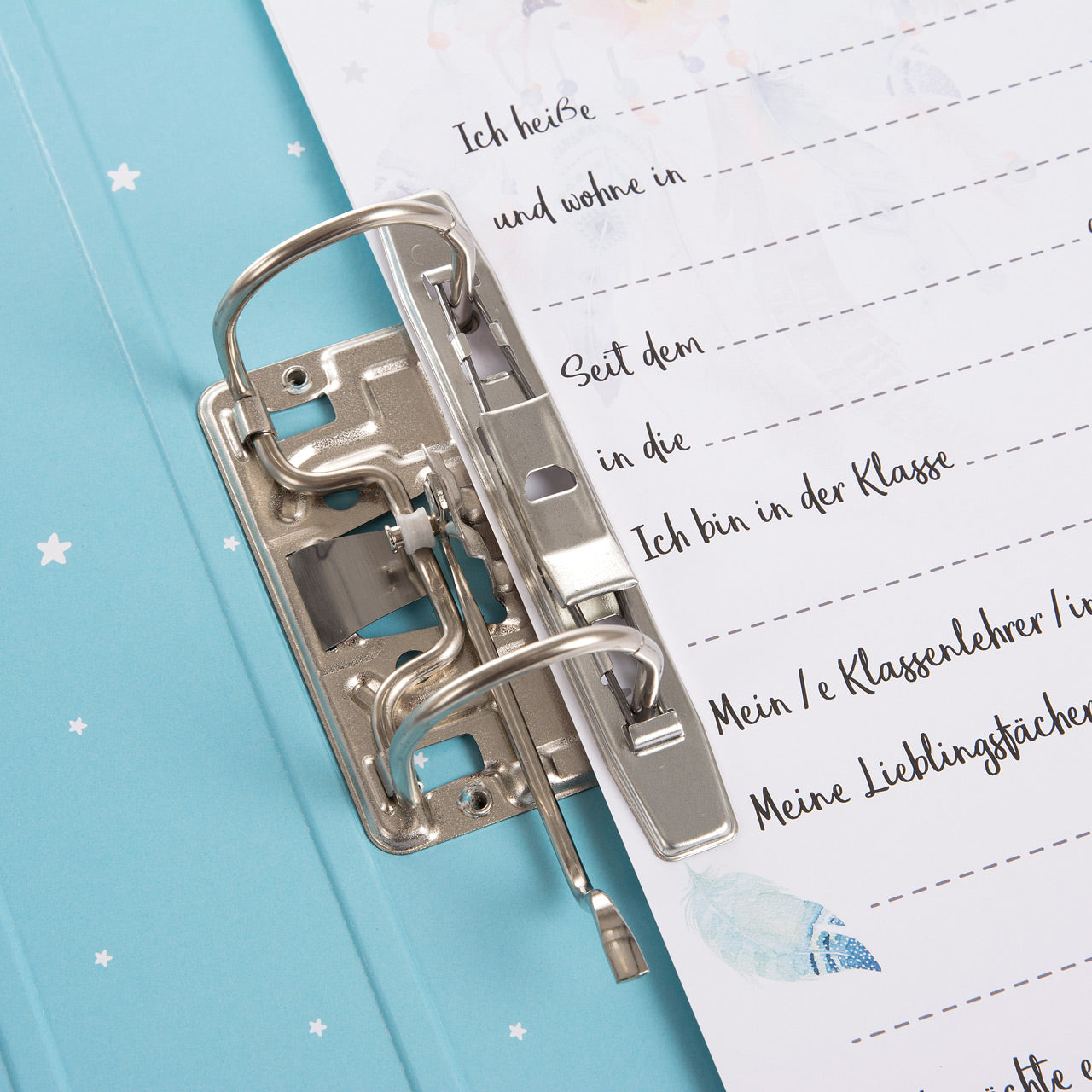 Goldbuch-Sammelordner-Meine-Schulzeit-Ordner-hefter-35205-lafueliki