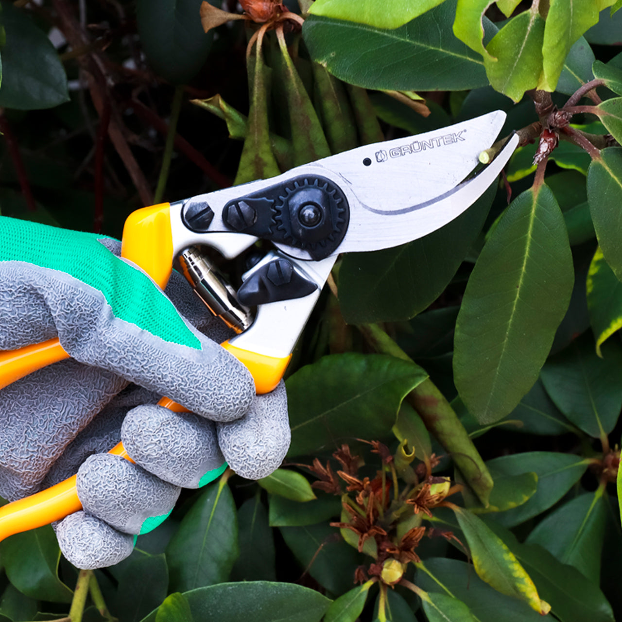 Gruente-Linkshaender-Gartenschere-Z-25-Pflanzenschere-Bypassschere-Garten-Rebschere-Rosenschere-Triebschere-anwendung-an-der-Pflanze-online-kaufen-lafueliki