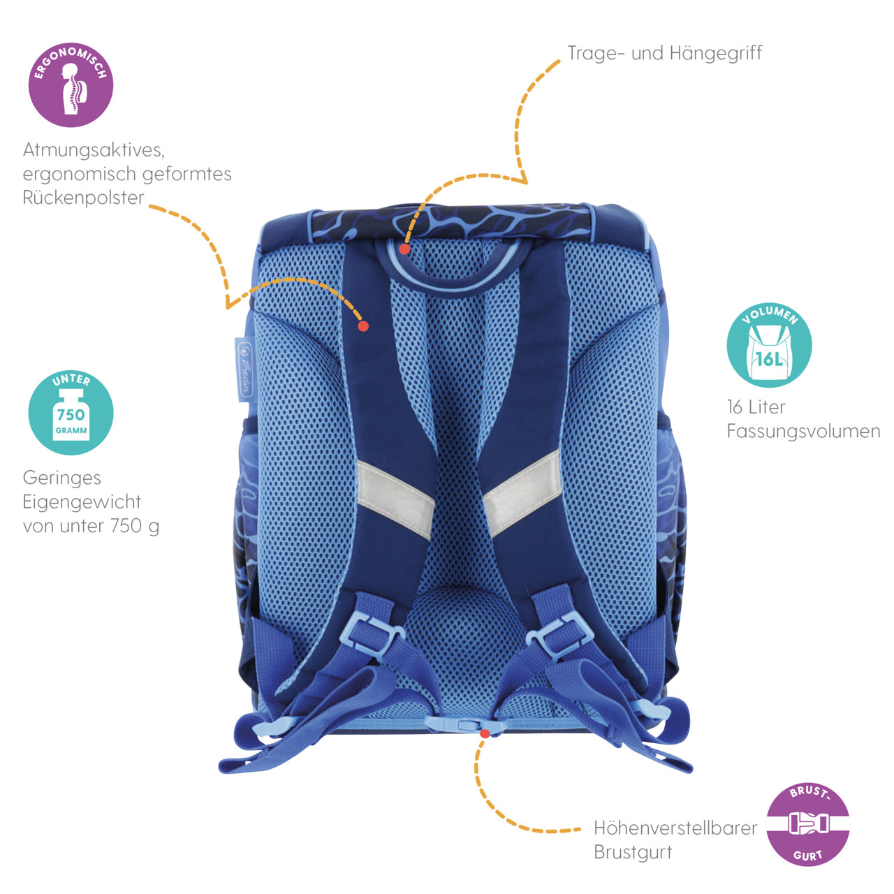 Herlitz-Schulranzen-Ultra-Light-Plus-Blue-shark-Hai-40081103470781-mit-icons-vorteile-rueckseite-lafueliki