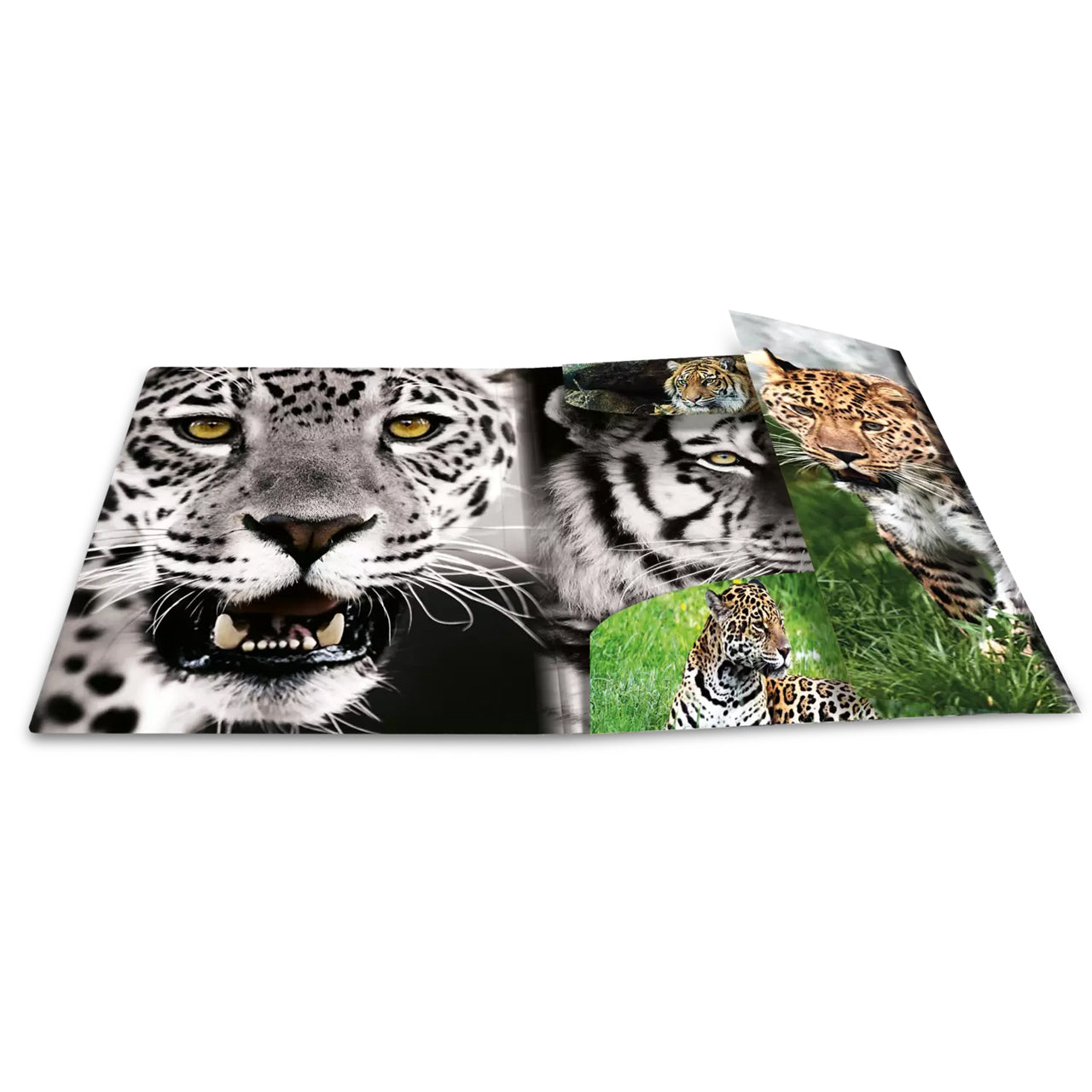 HERMA Sammelmappe A3 · Kunststoff · Raubkatzen