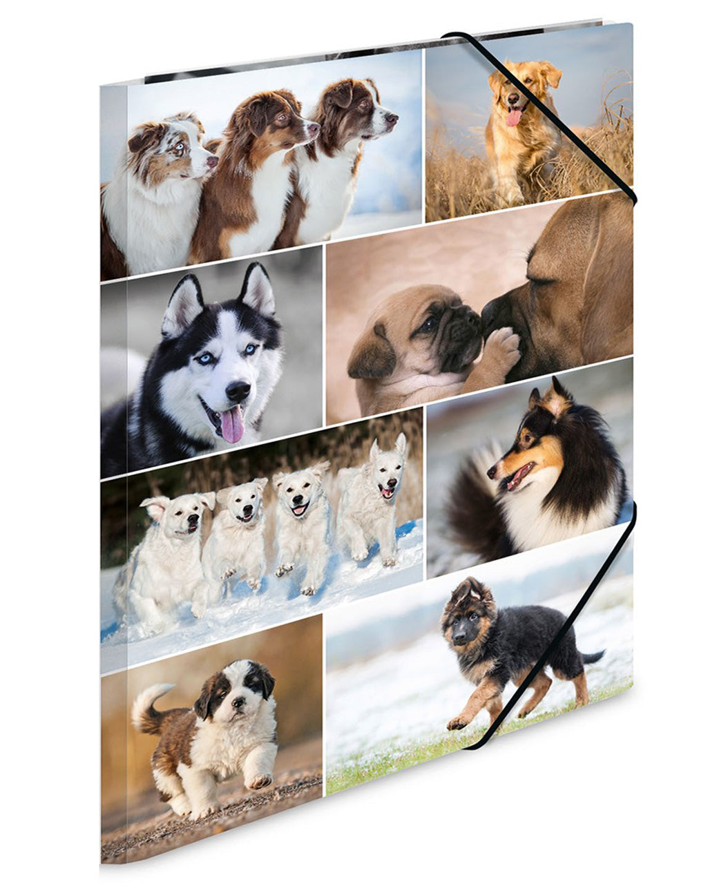 Herma-Sammelmappe-A3-Pappe-Hunde-Hund-19218-zeichenmappe-kaufen-lafueliki