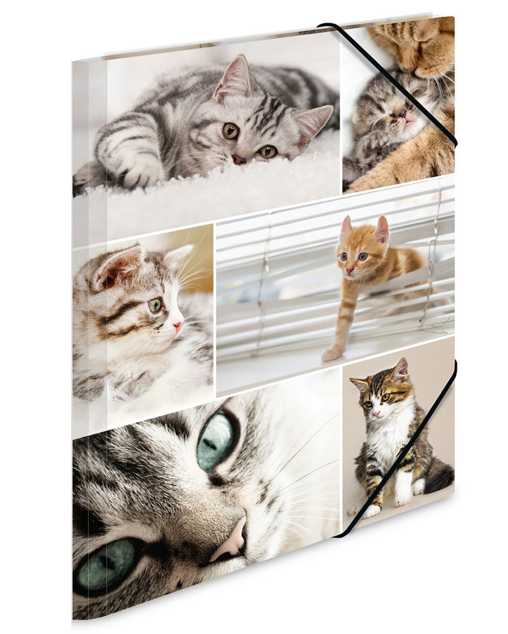 Herma-Sammelmappe-A3-Pappe-Katzen-katze-19212-zeichenmappe-kaufen-lafueliki