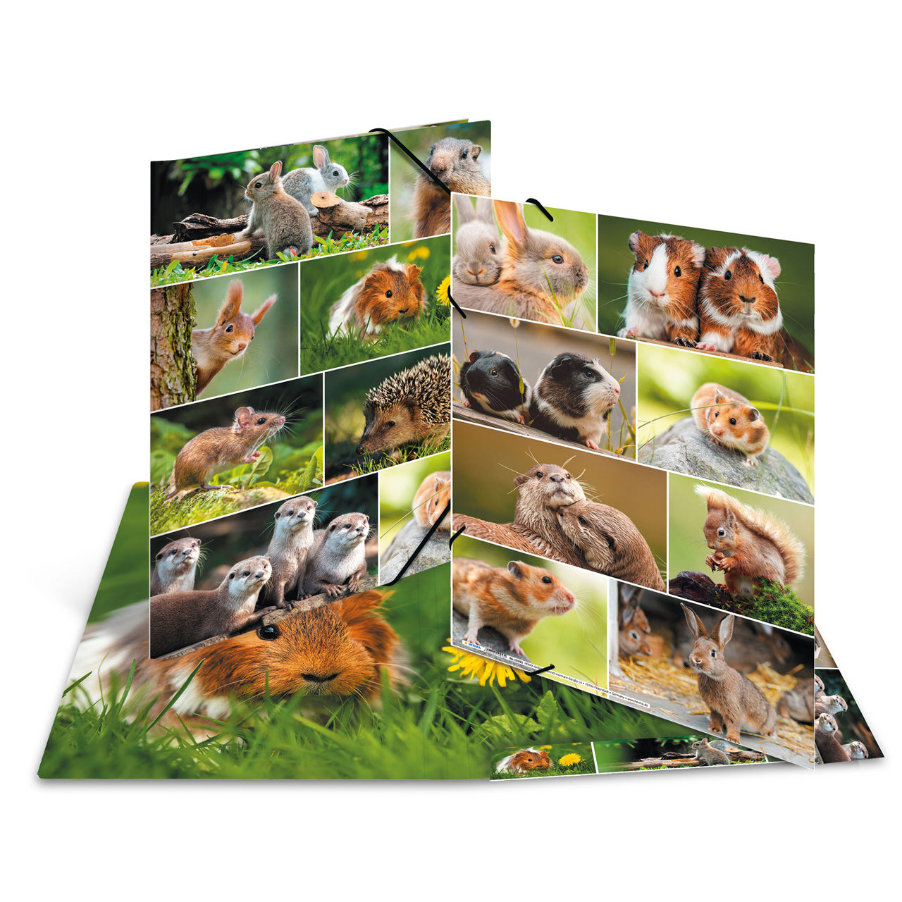 Herma-Sammelmappe-A3-Pappe-Nagetier-Meerschweinchen-ansicht-19453-lafueliki