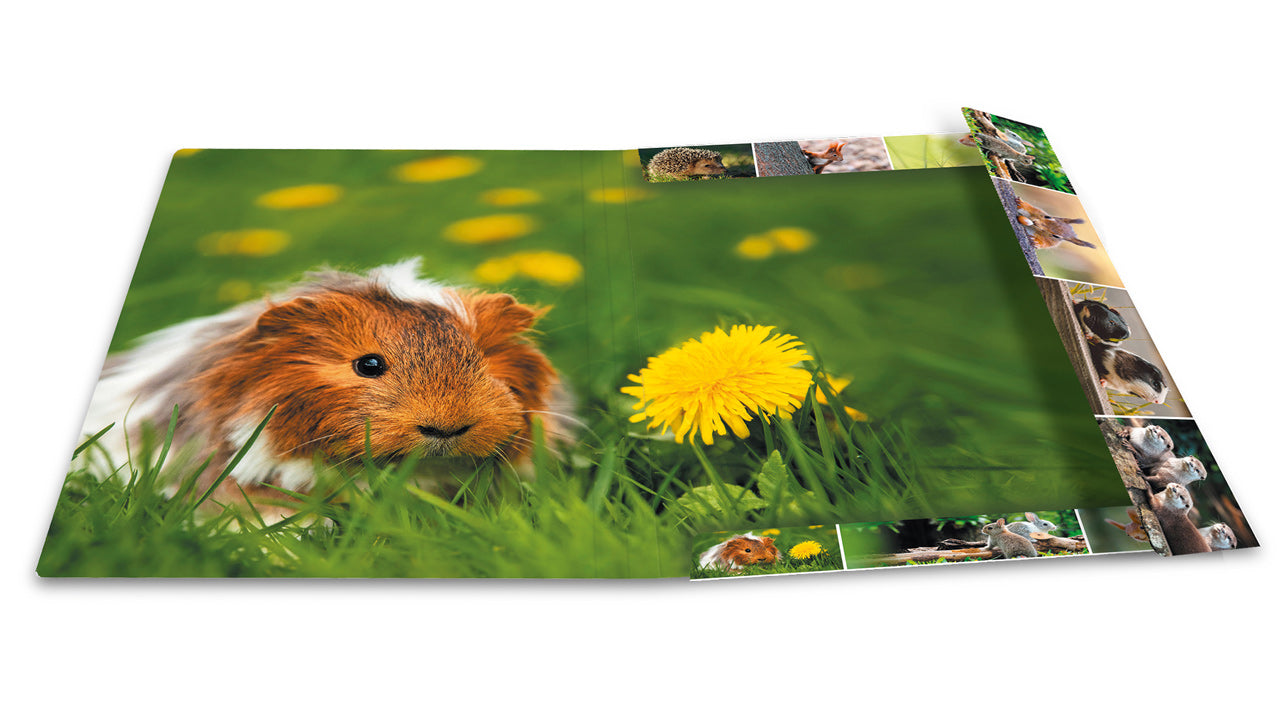 Herma-Sammelmappe-A3-Pappe-Nagetier-Meerschweinchen-ansicht-innen-19453-lafueliki