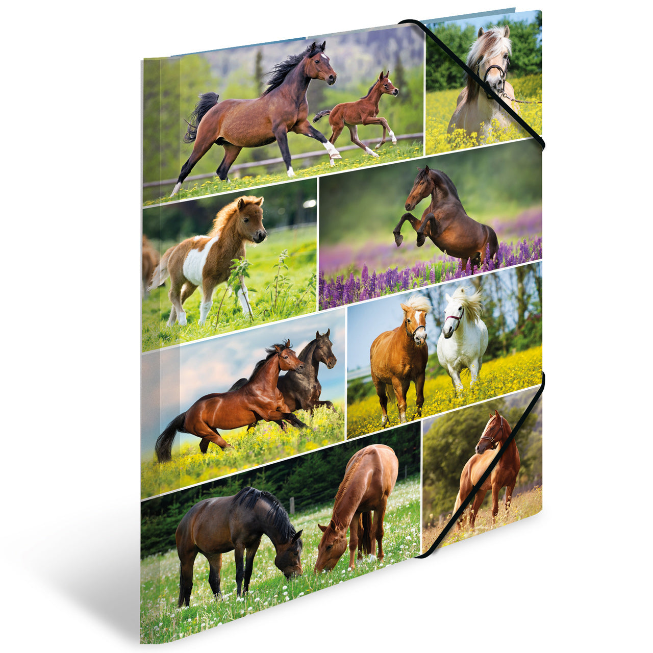 Herma-Sammelmappe-A3-Pappe-Pferd-19452-lafueliki