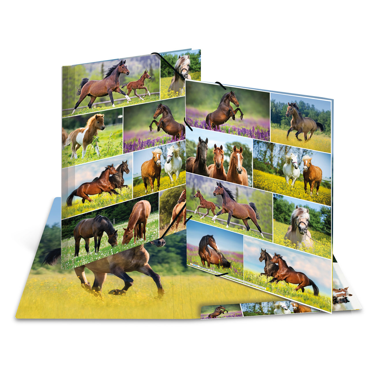 Herma-Sammelmappe-A3-Pappe-Pferd-ansicht-19452-lafueliki