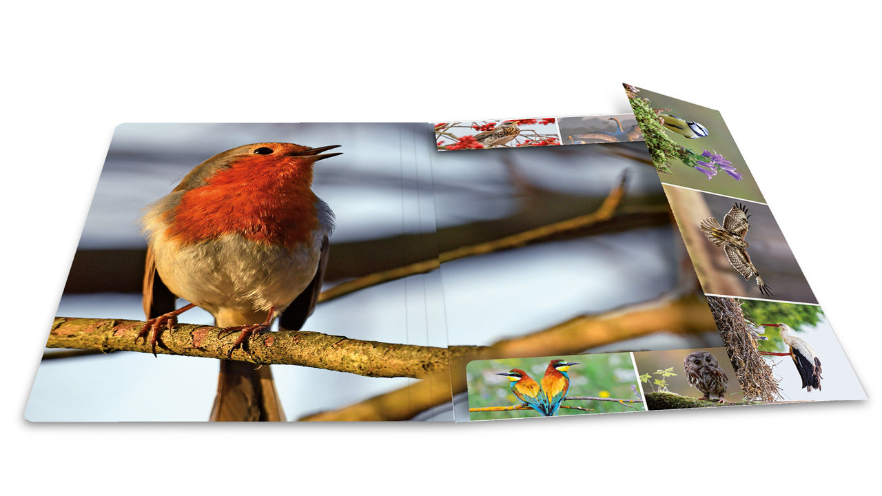 Herma-Sammelmappe-A3-Pappe-Vogel-ansicht-innen-19455-lafueliki