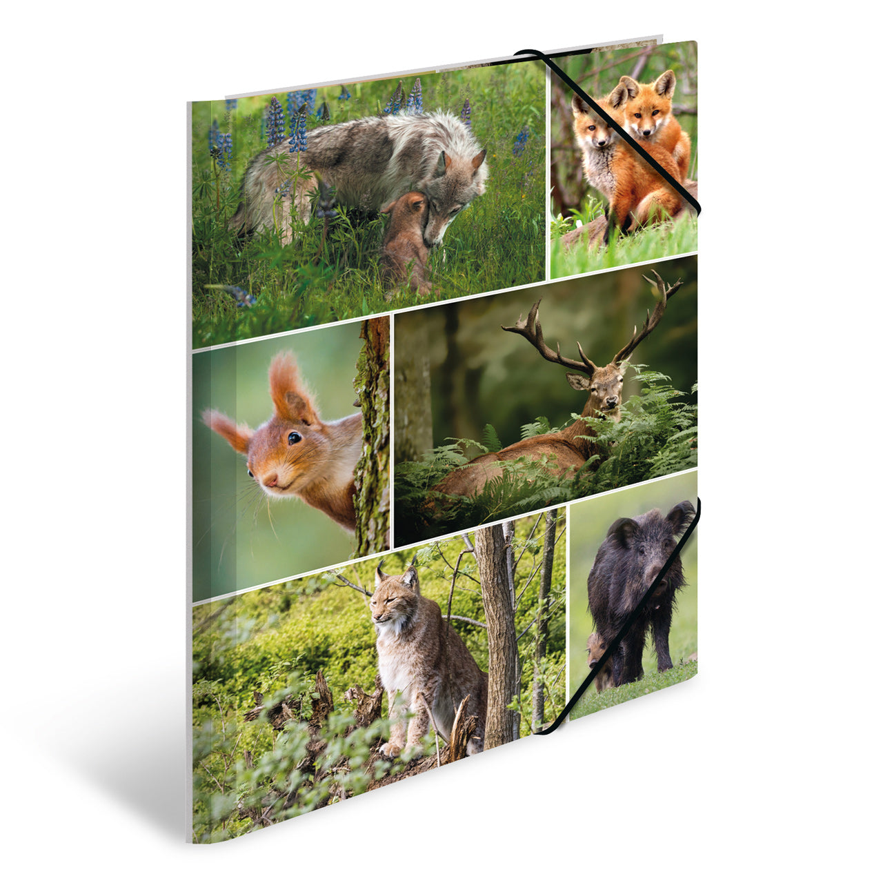 Herma-Sammelmappe-A3-Pappe-Waldtiere-Wolf-luchs-Fuchs-19451-lafueliki