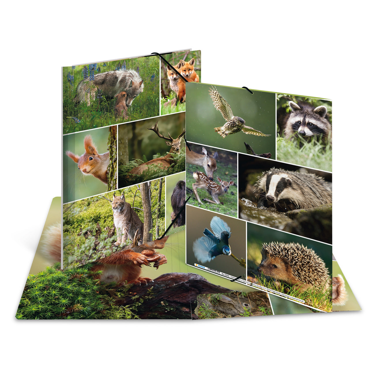 Herma-Sammelmappe-A3-Pappe-Waldtiere-ansicht-19451-lafueliki