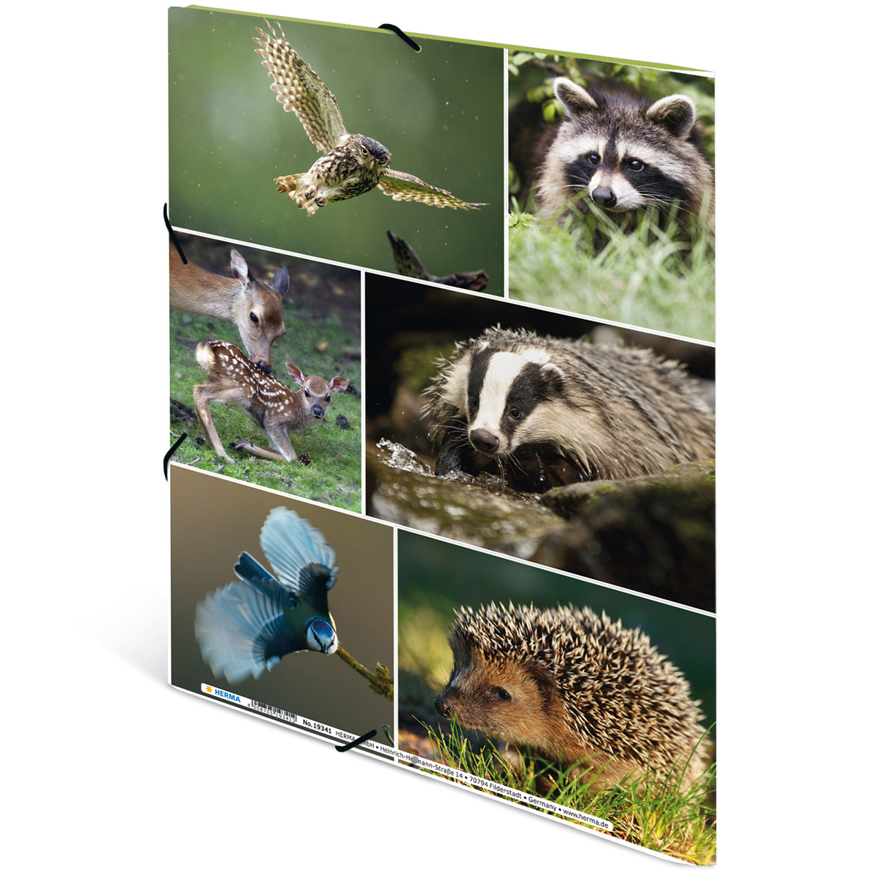 Herma-Sammelmappe-A3-Pappe-Waldtiere-ansicht-rueckseite-19451-lafueliki