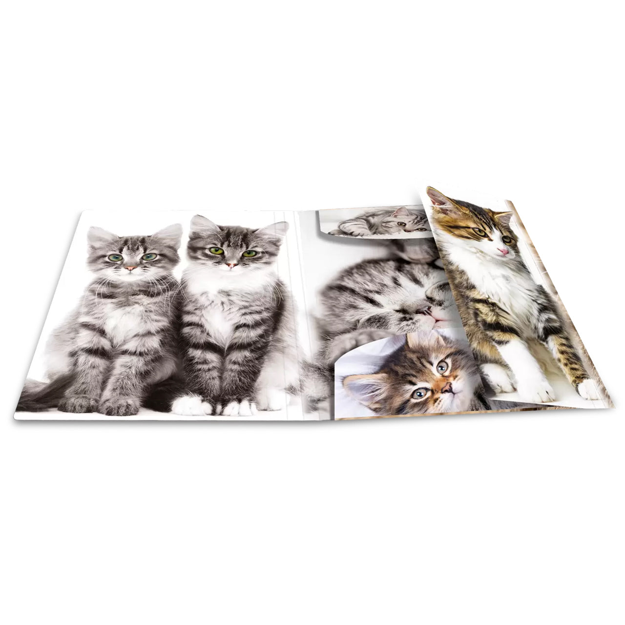 HERMA Sammelmappe A4 · PP · Katzen