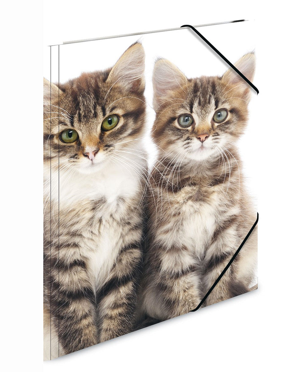 Herma-Sammelmappe-A4-PP-Kunststoff-Katzen-7138-zeichenmappe-kaufen-lafueliki