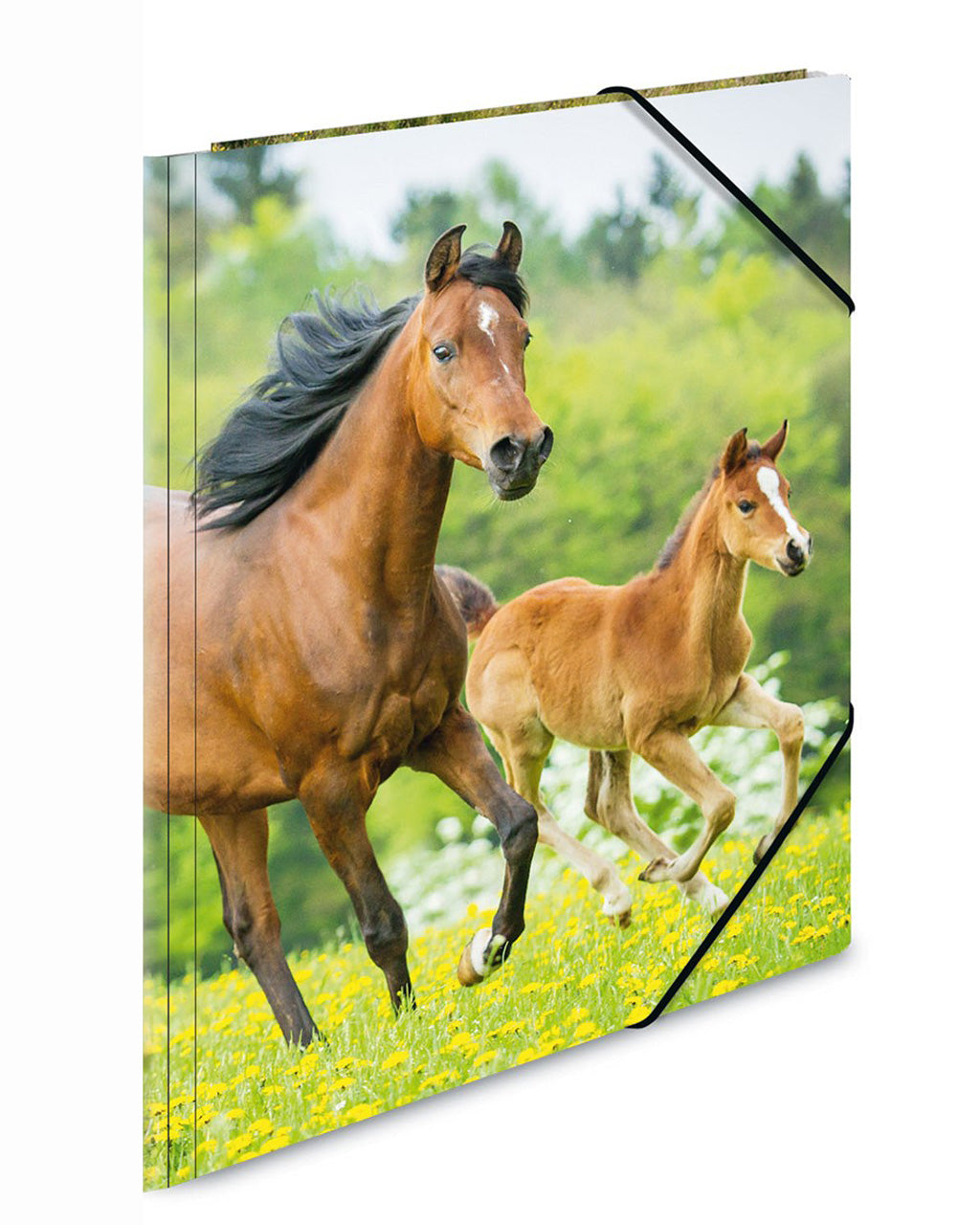 Herma-Sammelmappe-A4-PP-Kunststoff-pferde-7140-zeichenmappe-kaufen-lafueliki