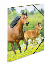 Herma-Sammelmappe-A4-PP-Kunststoff-pferde-7140-zeichenmappe-kaufen-lafueliki