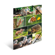 Herma-Sammelmappe-A4-Pappe-Nagetiere-19343-lafueliki