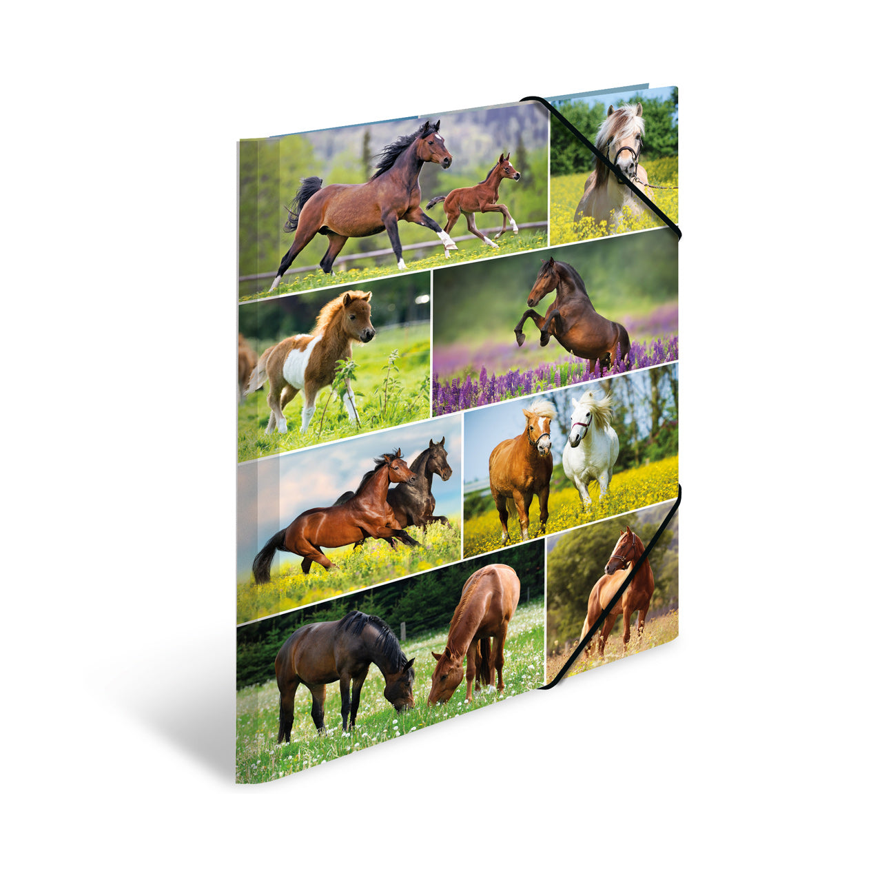 Herma-Sammelmappe-A4-Pappe-Pferd-19342-lafueliki