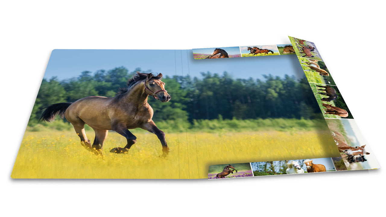 Herma-Sammelmappe-A4-Pappe-Pferd-ansicht-innen-19342-lafueliki