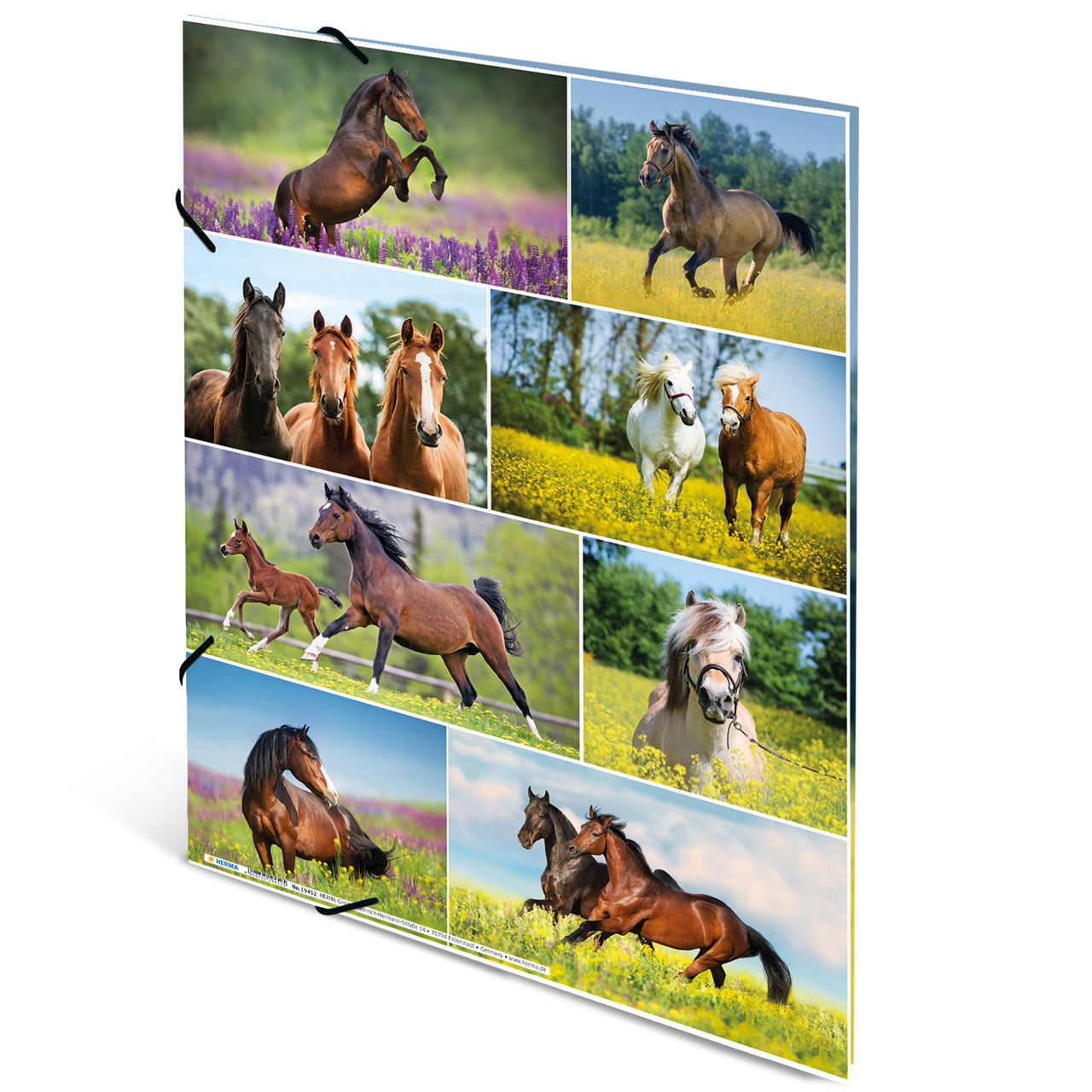 Herma-Sammelmappe-A4-Pappe-Pferd-ansicht-rueckseite-19342-lafueliki