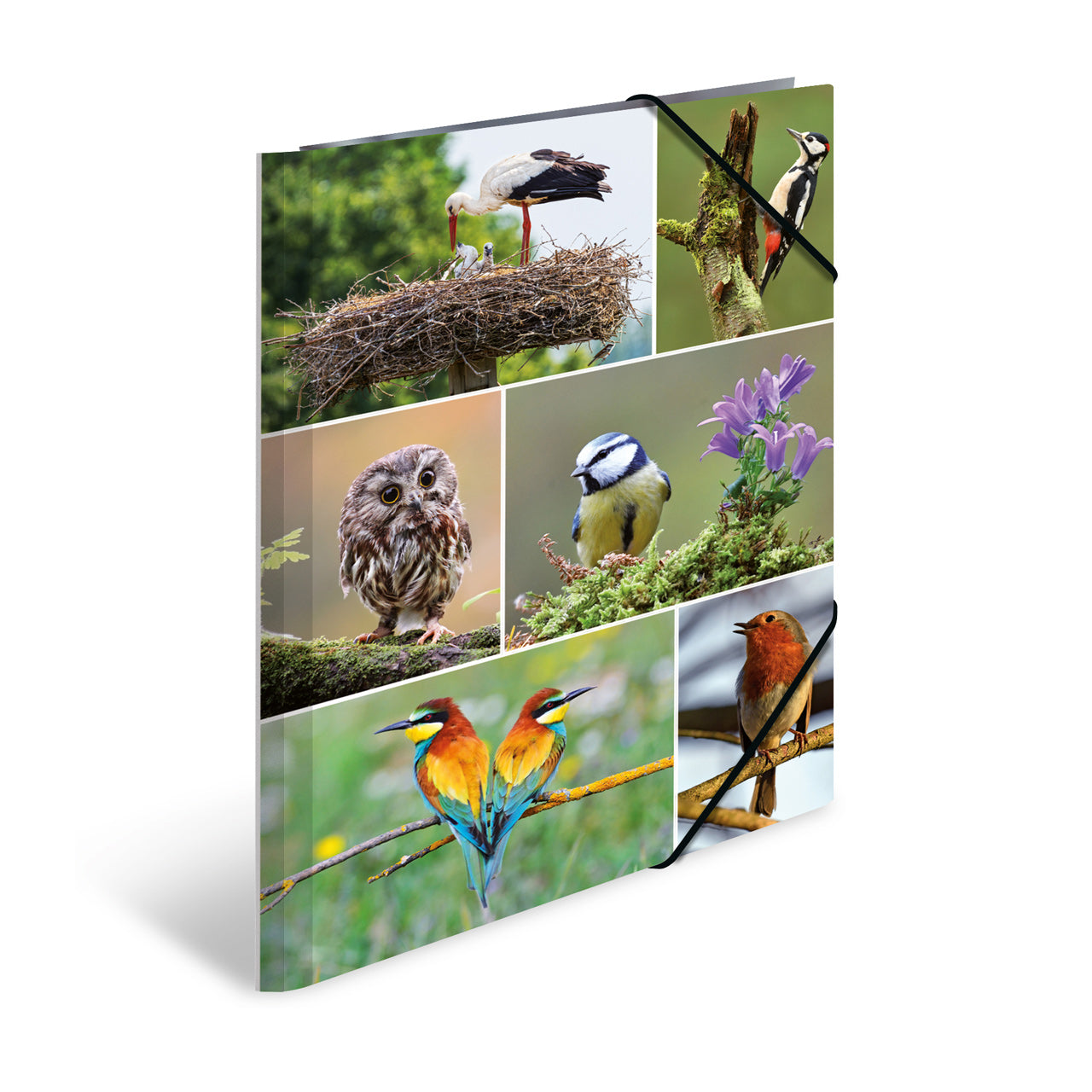 Herma-Sammelmappe-A4-Pappe-Vogel-19345-lafueliki