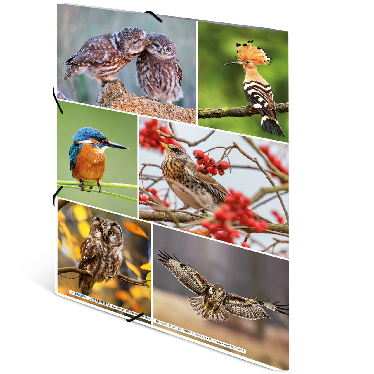 Herma-Sammelmappe-A4-Pappe-Vogel-ansicht-rueckseite-19345-lafueliki