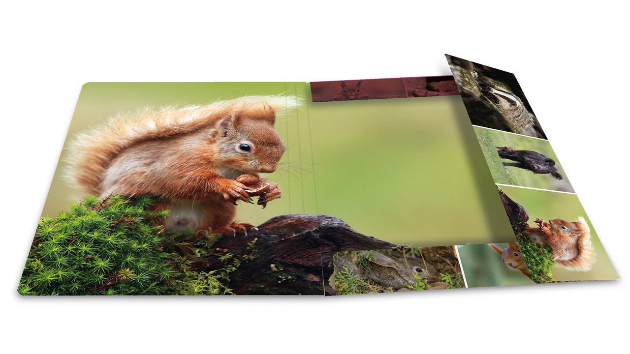 Herma-Sammelmappe-A4-Pappe-Waldtiere-ansicht-innen-19341-lafueliki